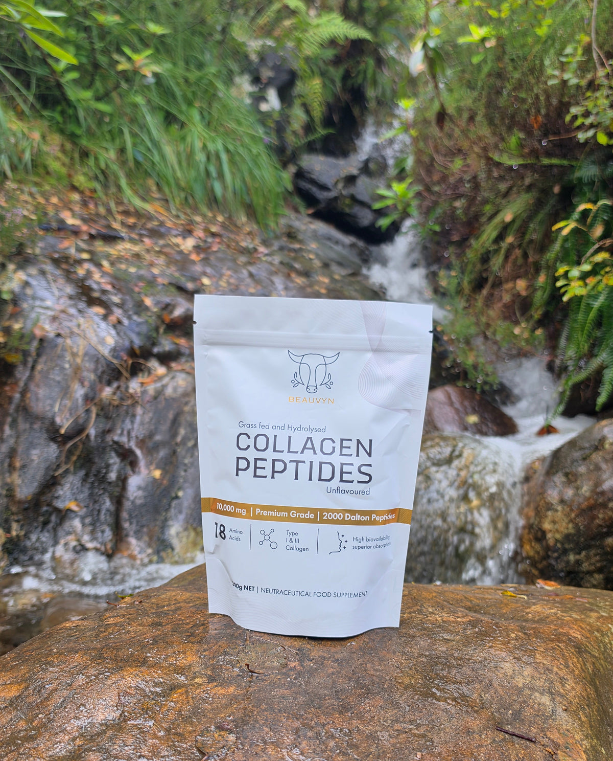 Bovine Collagen Guide