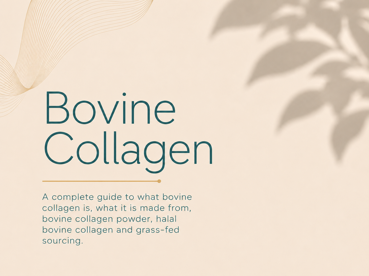 Bovine Collagen