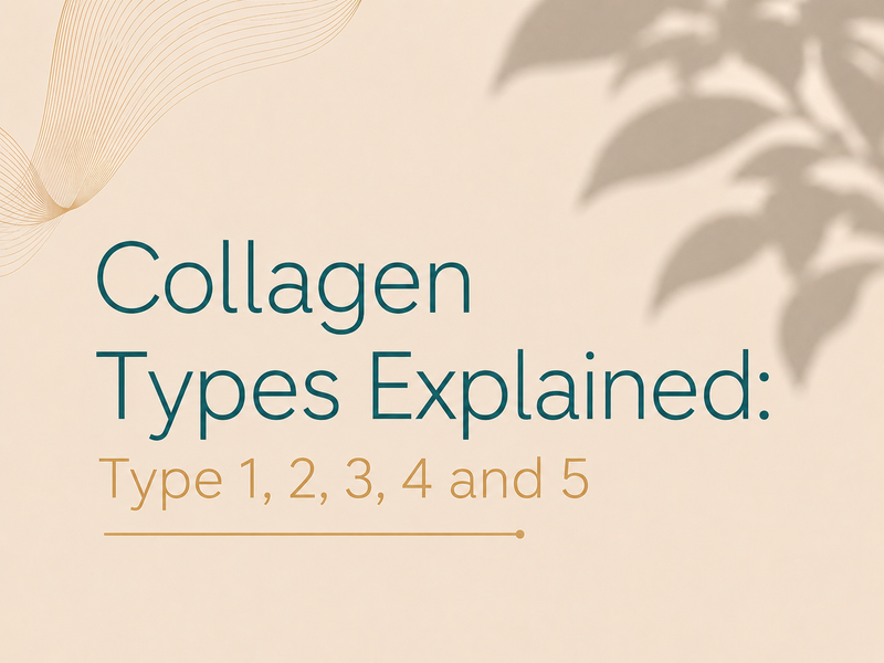 Collagen Types Explained: Type 1, 2, 3, 4 and 5