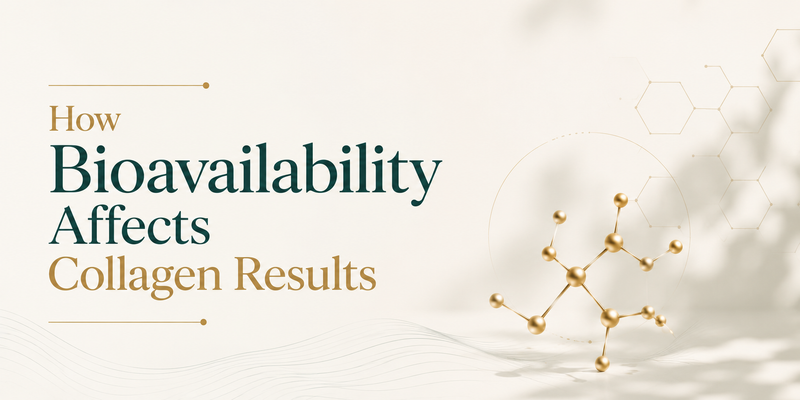 How Bioavailability Affects Collagen Results