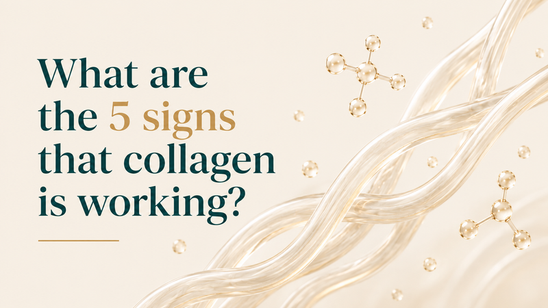 What are the 5 signs that collagen is working?