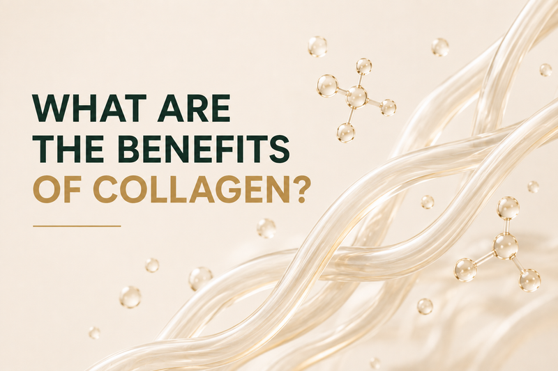What are the benefits of collagen?