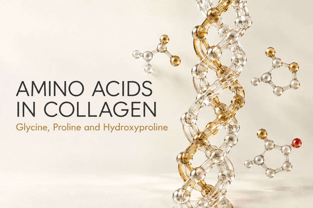 Amino Acids in Collagen: Glycine, Proline and Hydroxyproline