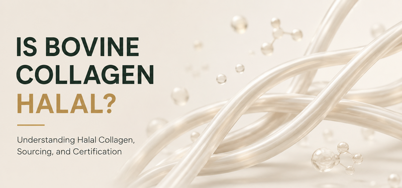 Is Bovine Collagen Halal