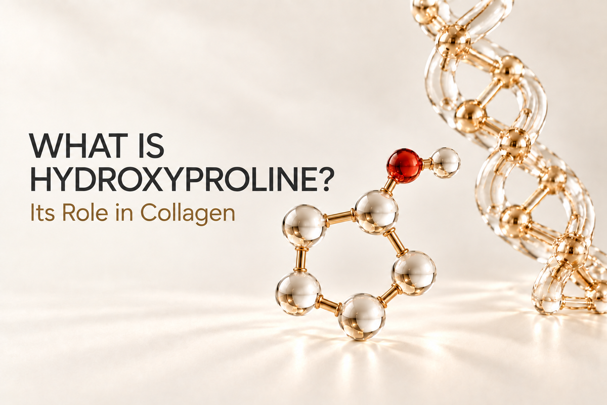 What Is Hydroxyproline? Its Role in Collagen